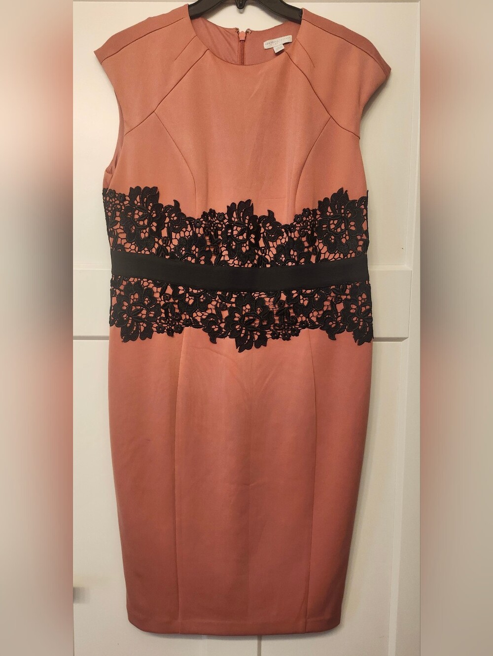 Sleeveless Rosewood Lace-Trim Sheath Dress